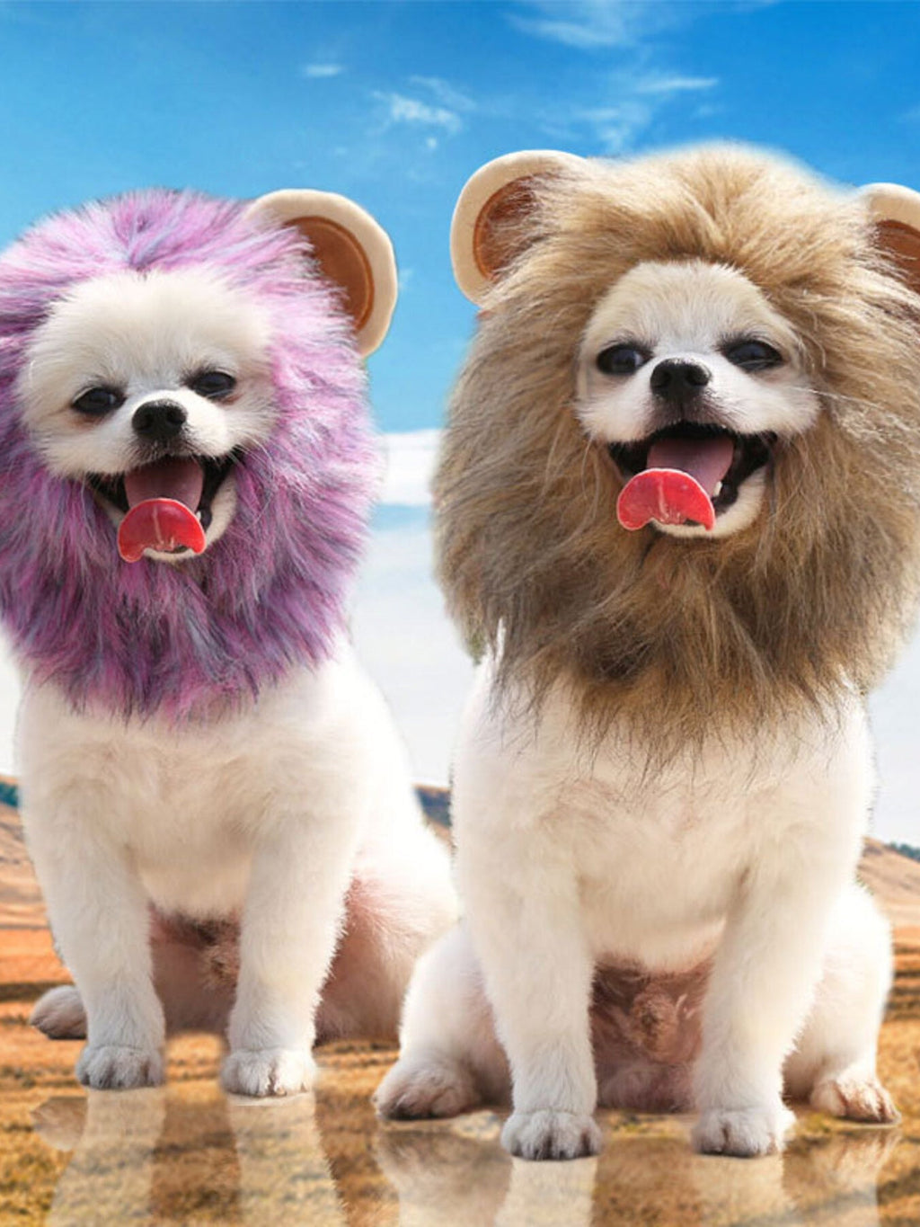 Lion Mane Pet Headwear
