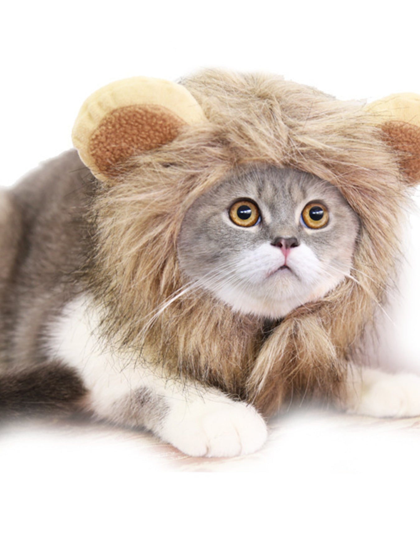 Lion Mane Pet Headwear
