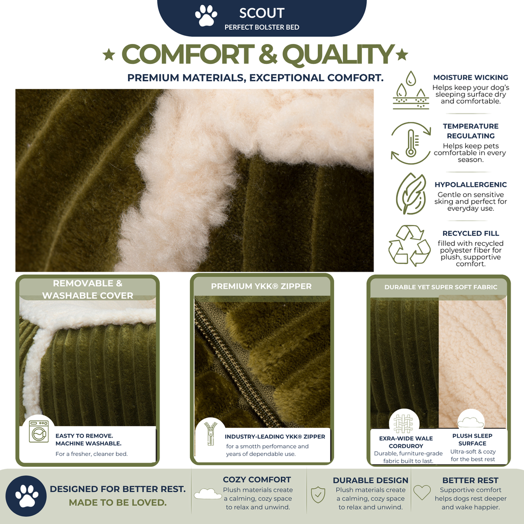 Scout Perfect Bolster Dog Bed