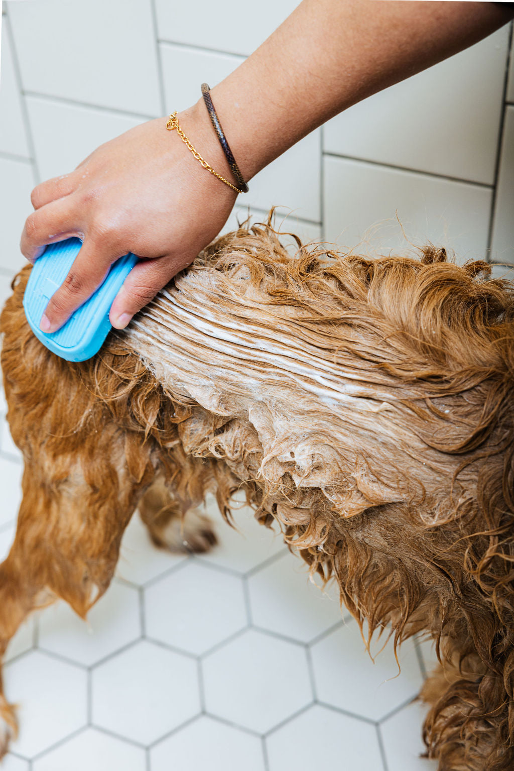 Spritz (Dog Shampoo & Conditioner Duo)