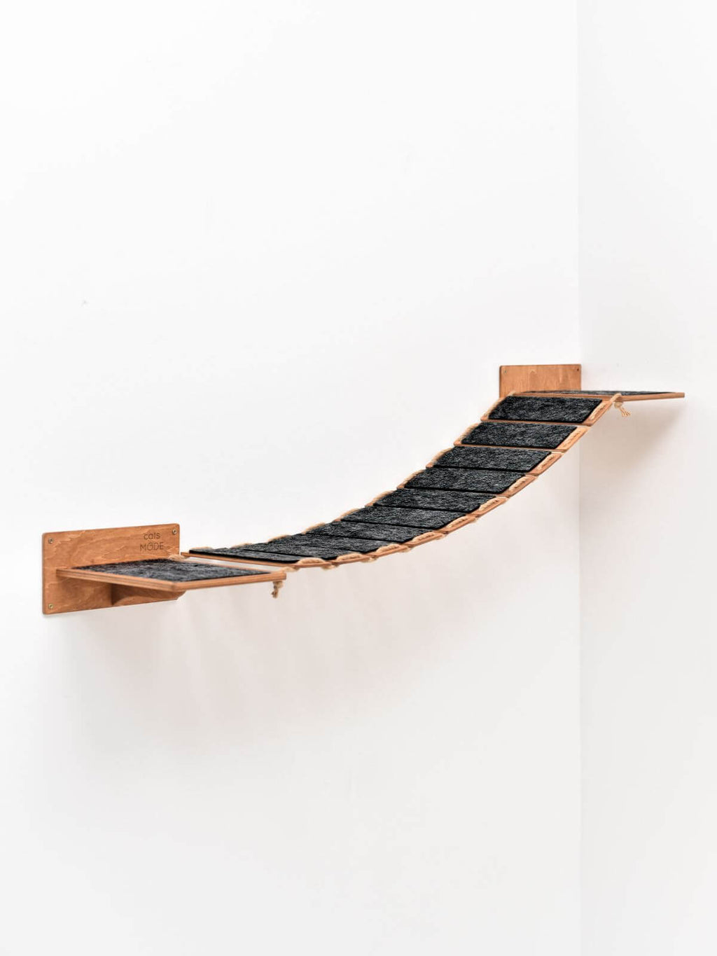Cat Rope Bridge (B2B)