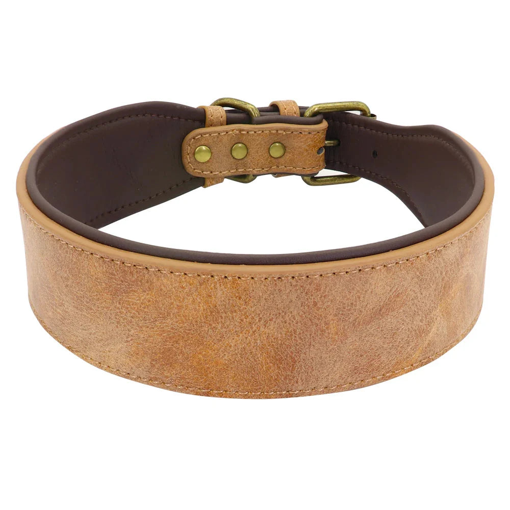 The Wide Luxe Collar - Padded Leather for Large Dogs