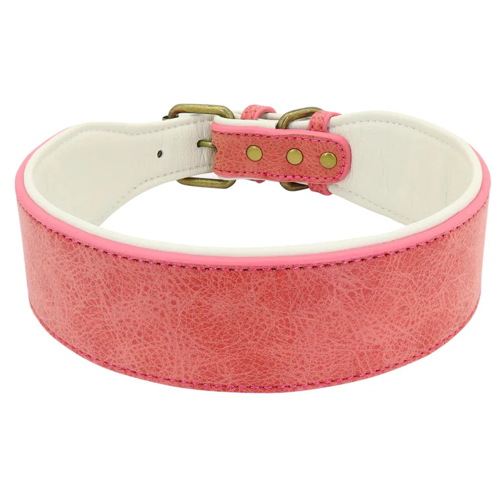 The Wide Luxe Collar - Padded Leather for Large Dogs