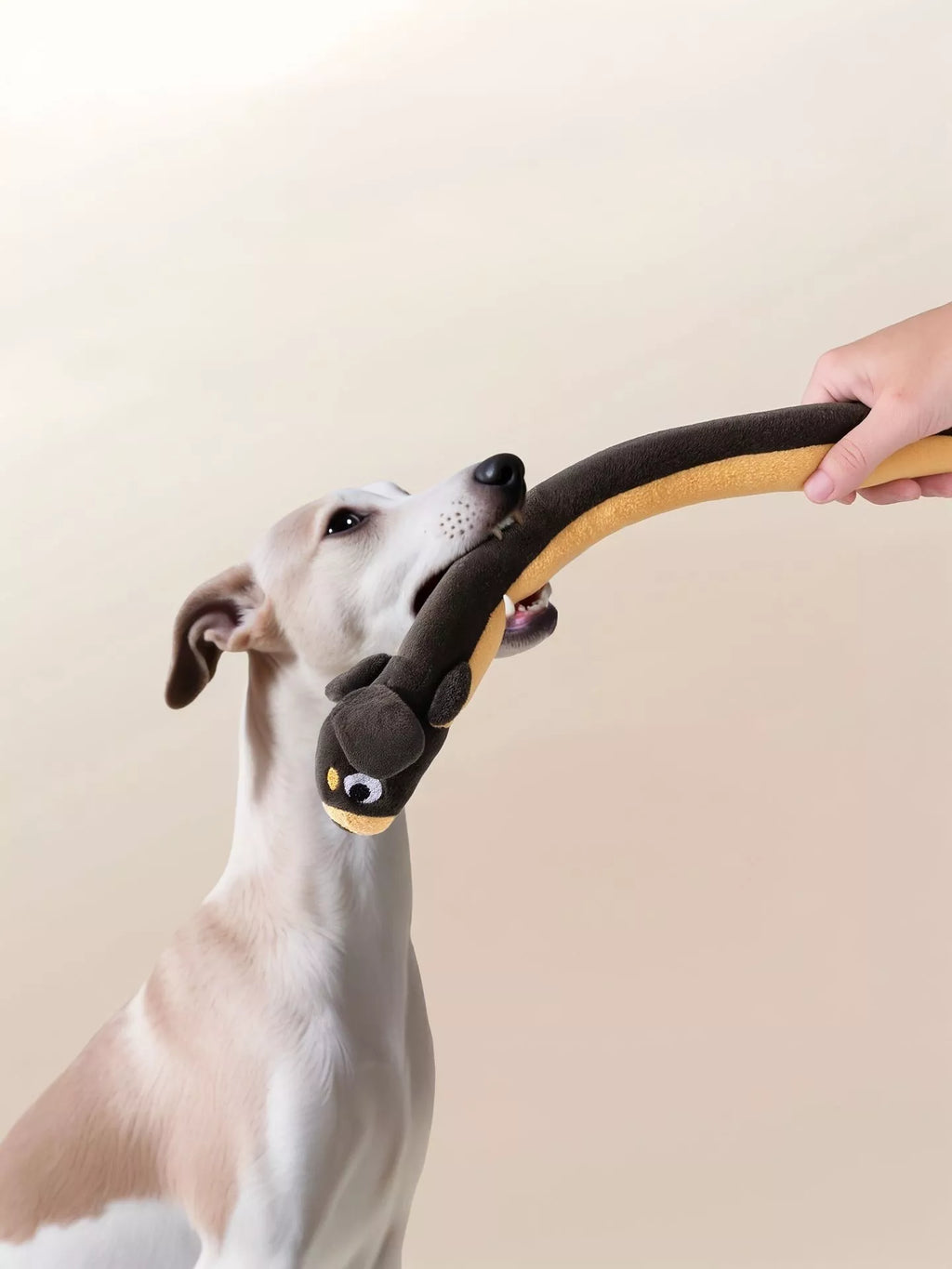 Long Animal Design Squeaky Pet Plush Toys