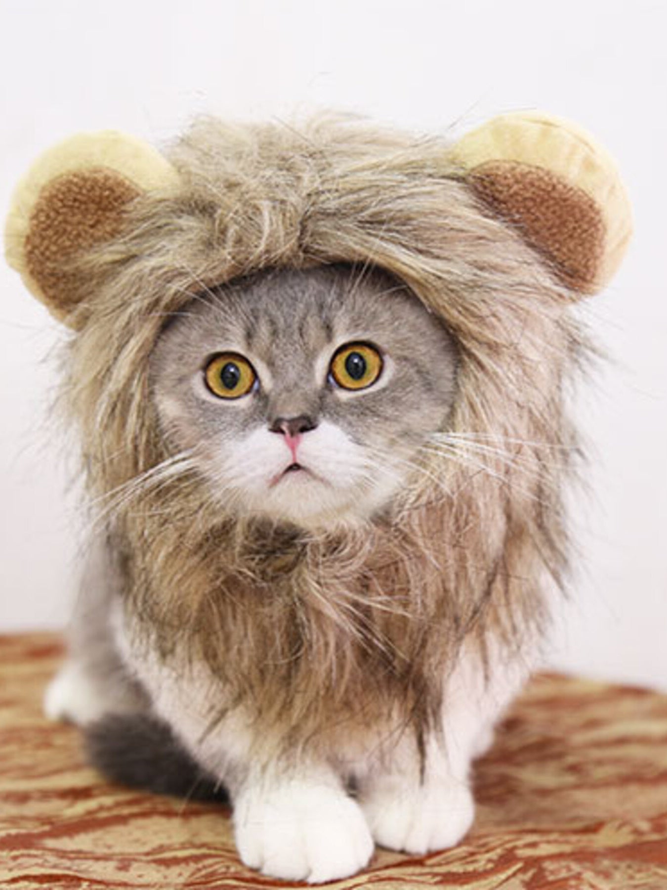Lion Mane Pet Headwear