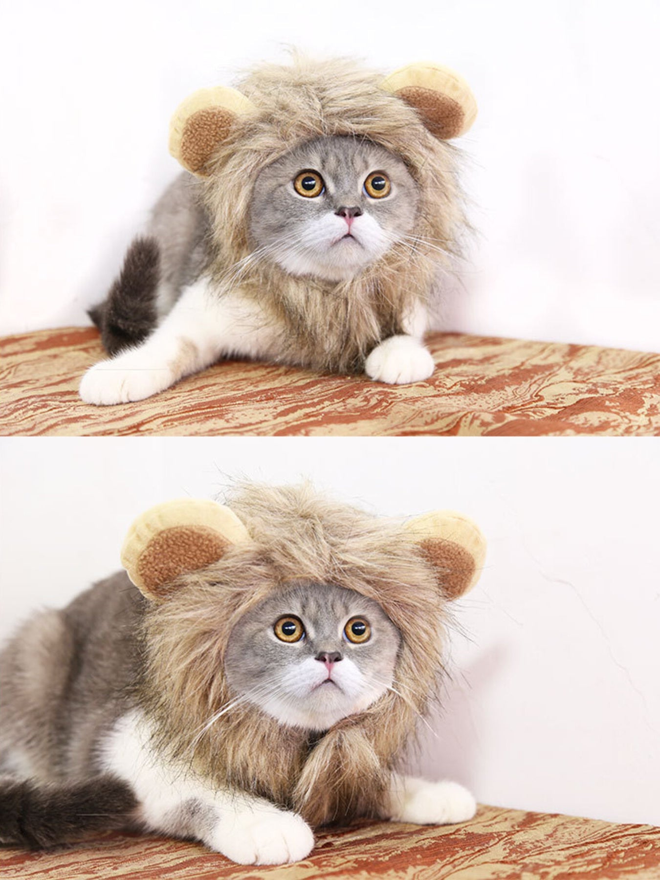 Lion Mane Pet Headwear