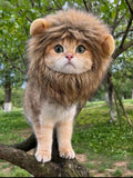 Lion Mane Pet Headwear