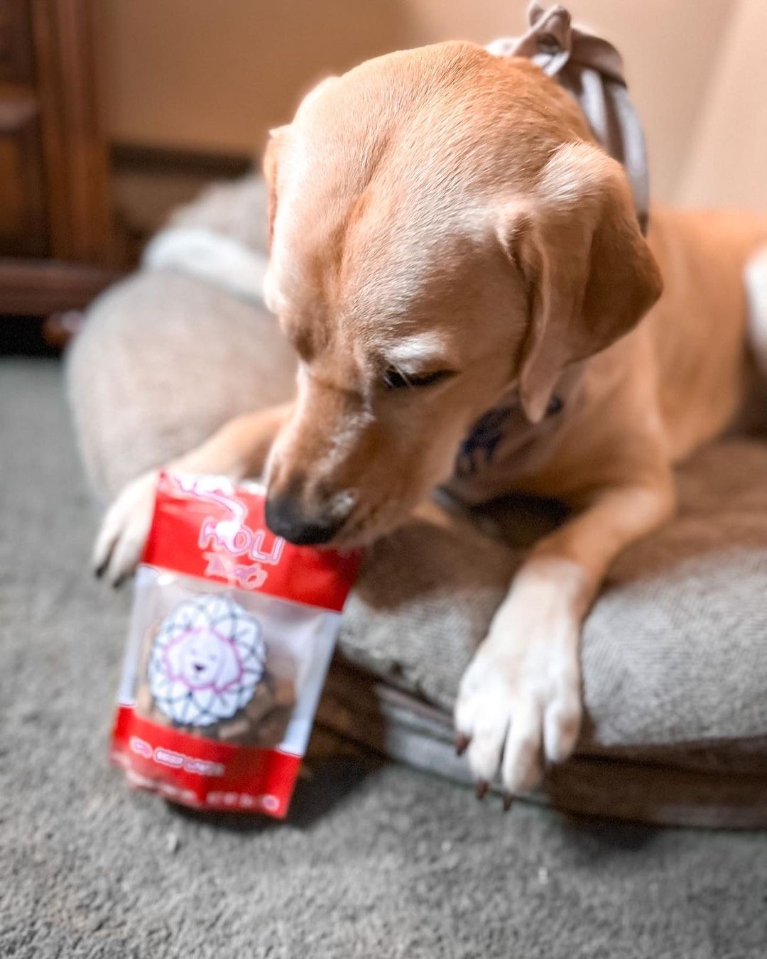 Beef Liver Dog Treats - Freeze-Dried - Single Ingredient