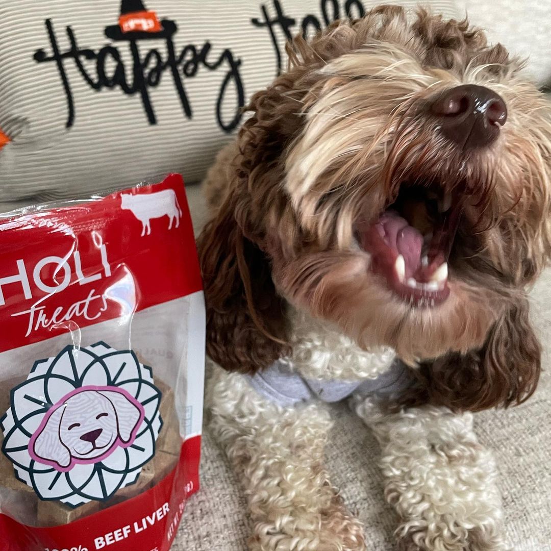 Beef Liver Dog Treats - Freeze-Dried - Single Ingredient